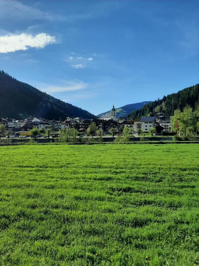 Hirsch Haus Apartment Santo Stefano Di Cadore Exterior foto